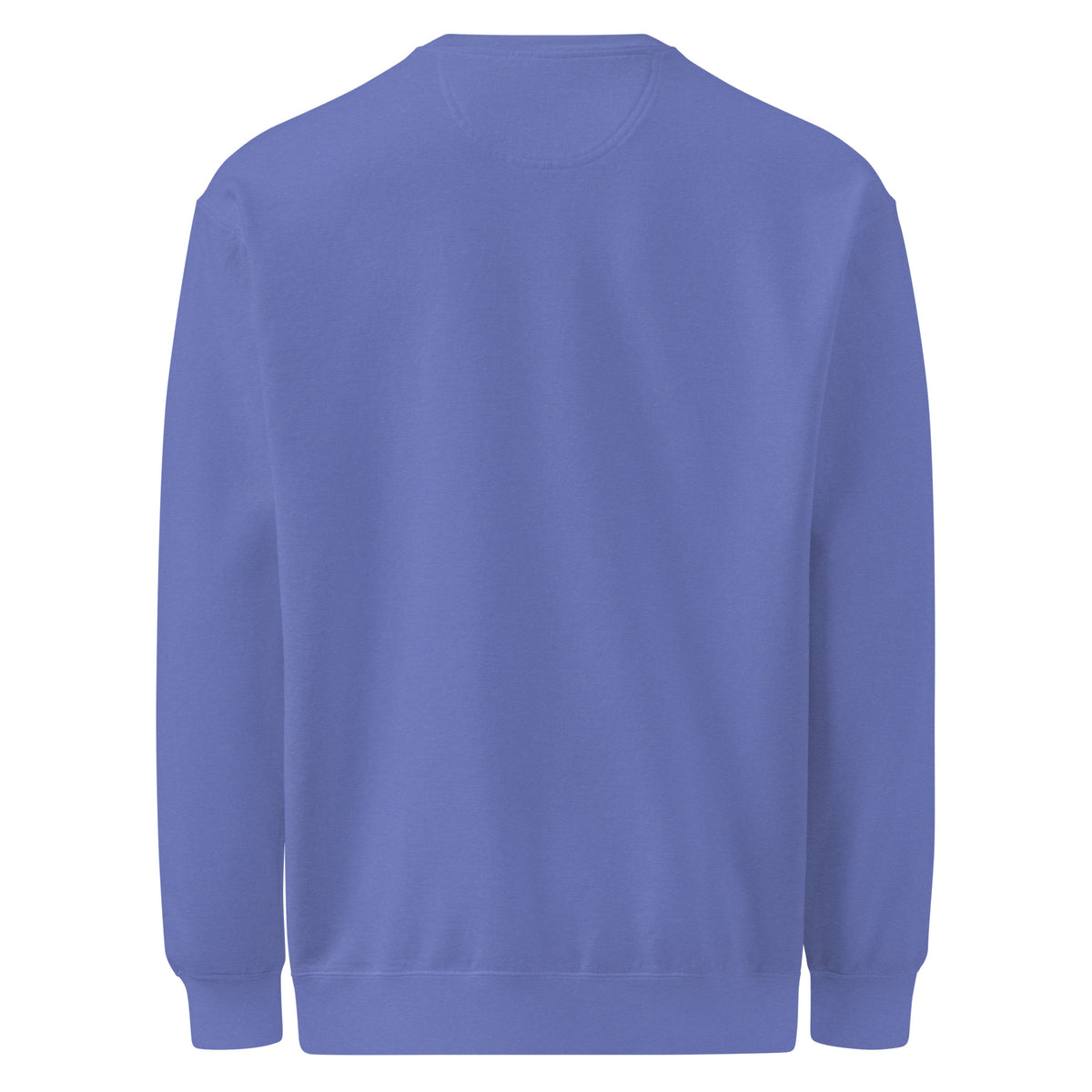 Christmas Countdown: Brace Position sweatshirt in Flo Blue, back view (plain)