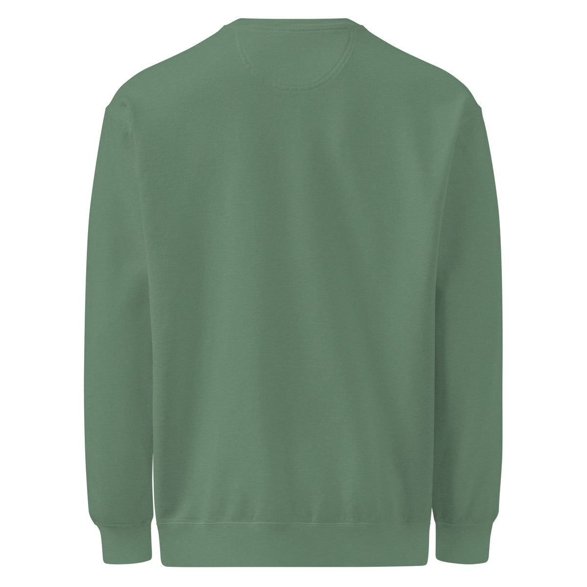 Christmas Incoming: Survival Plan Activated sweatshirt in Light Green, back view (plain)