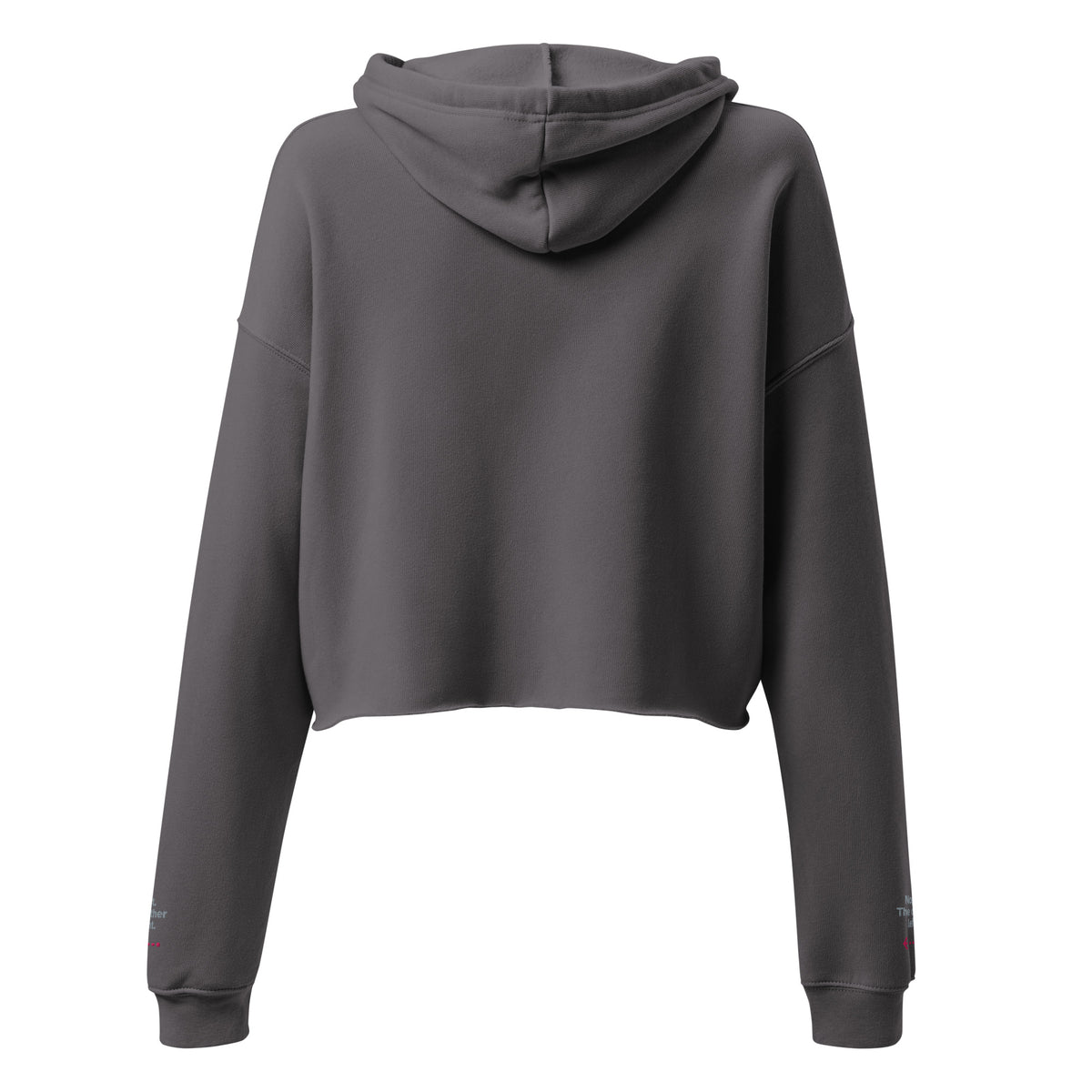 Psst. The Other Right crop hoodie in Storm, back