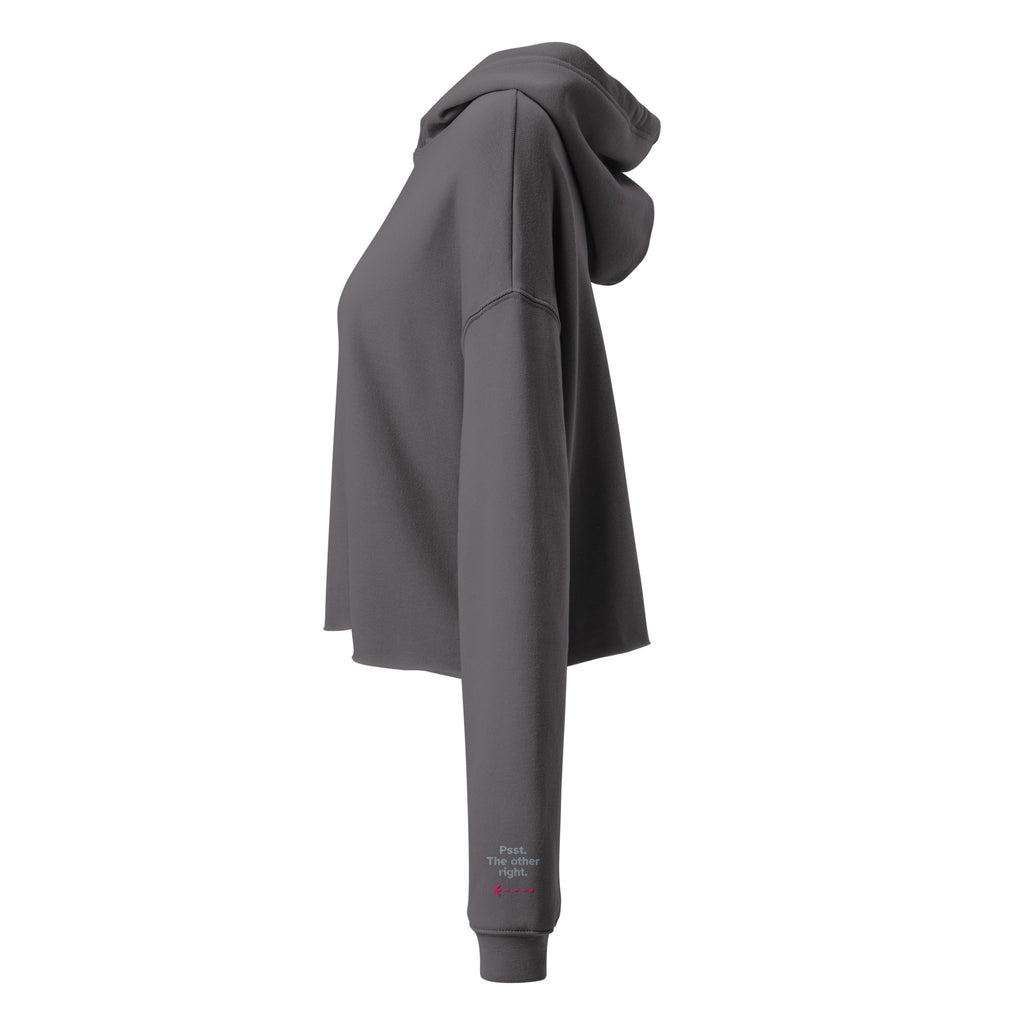 Psst. The Other Right crop hoodie in Storm, left sleeve